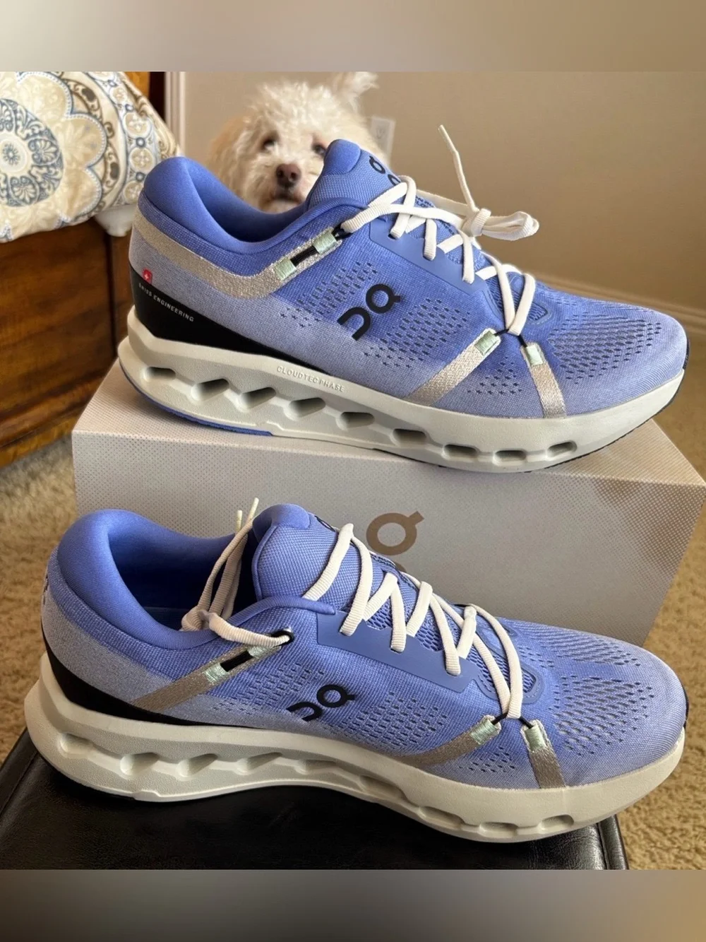 On Cloudsurfer Running Shoes